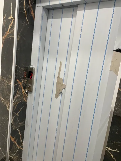 Location Appartement F4 Alger Dely brahim