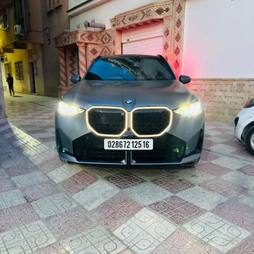 BMW X3 2025 Business Design