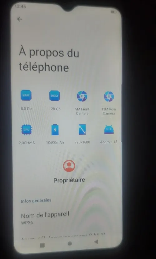 Oukitel WP36