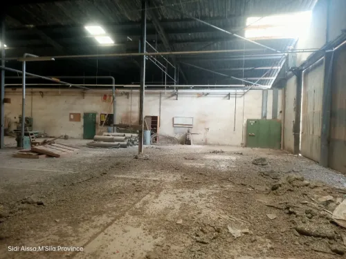 Vente Hangar M'Sila Sidi aissa