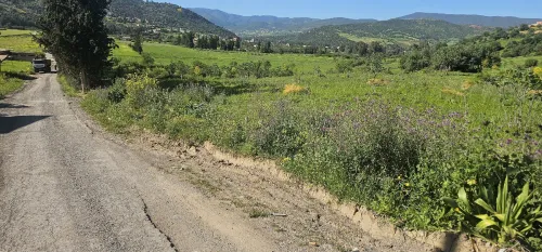 Vente Terrain Bouira Djebahia
