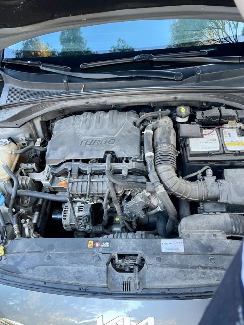 Kia Ceed 2022 Ceed