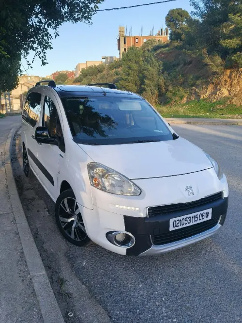 Peugeot Partner 2015 Tepee
