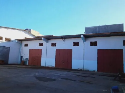 Location Hangar - Usine Guelma Belkheir