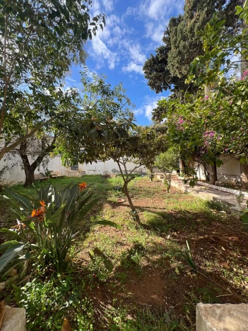 Location Villa Alger El biar
