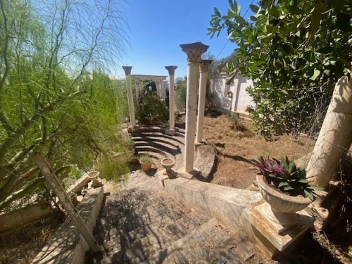 Vente Terrain Alger Bouzareah
