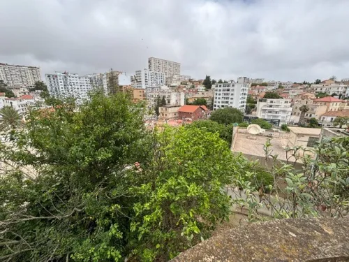 Vente Terrain Alger El biar