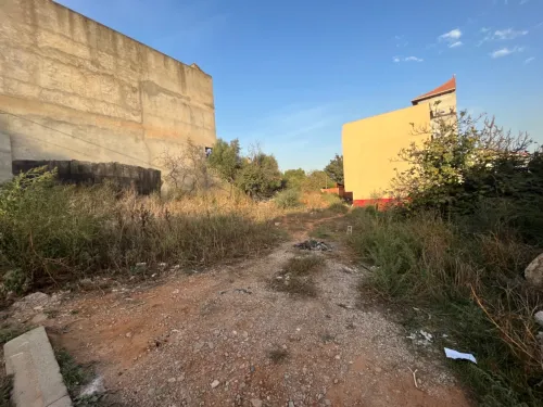 Vente Terrain Alger Draria