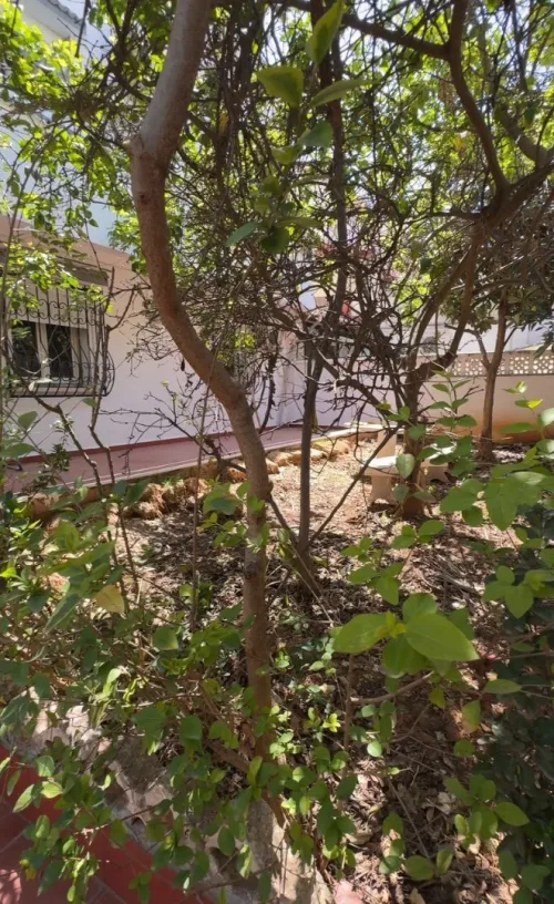 Location Villa Alger Hydra