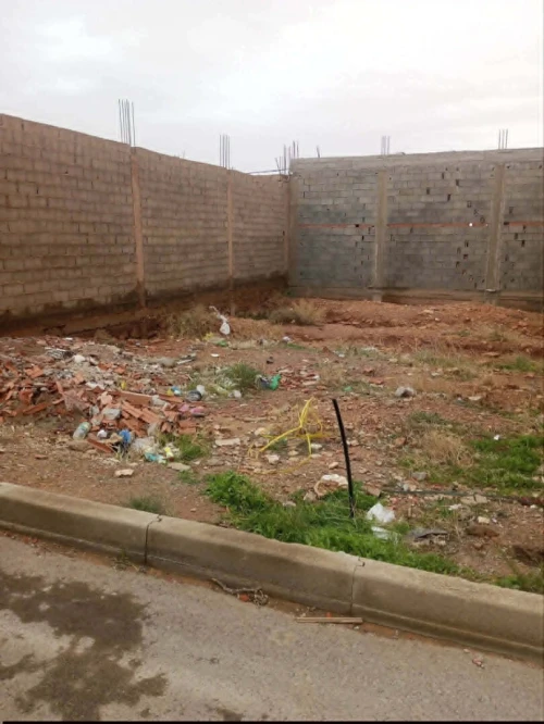 Vente Terrain Naâma Mecheria