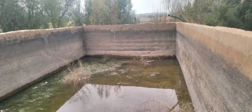 Vente Terrain Agricole Saïda Youb