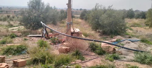 Vente Terrain Agricole Saïda Youb