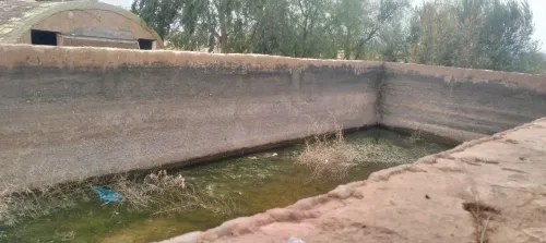 Vente Terrain Agricole Saïda Youb