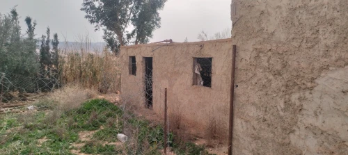 Vente Terrain Agricole Saïda Youb