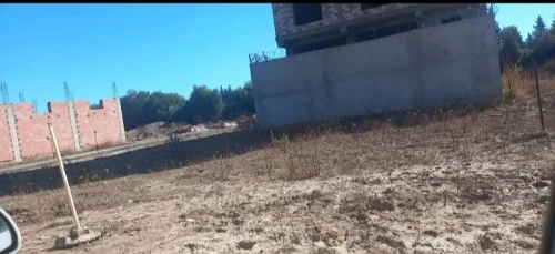 Vente Terrain Blida Chebli