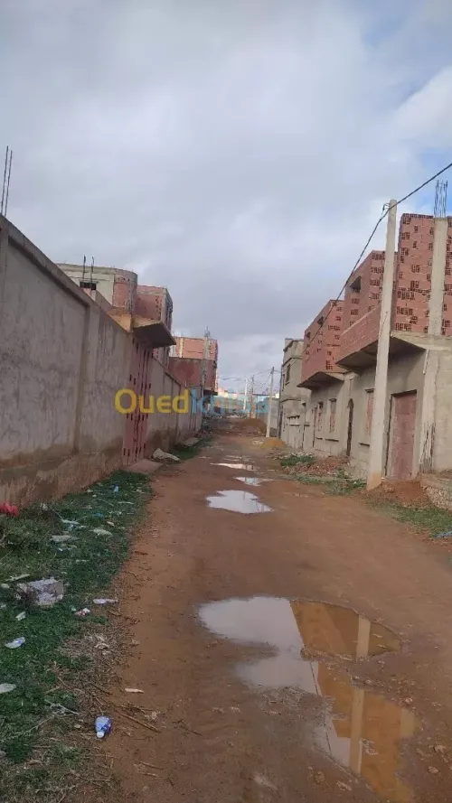 Vente Terrain Mostaganem Mostaganem