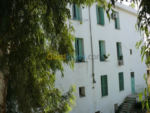 Vente Immeuble Constantine Constantine
