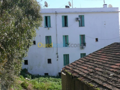 Vente Immeuble Constantine Constantine