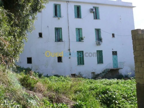 Vente Immeuble Constantine Constantine