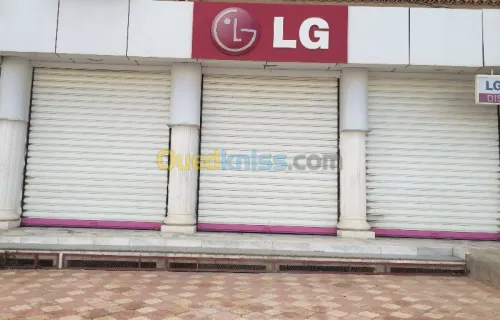 rideau metallique electrique