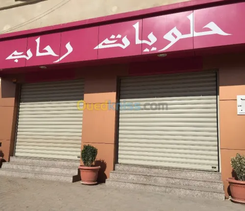 rideau metallique electrique