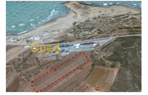 Vente Terrain Mostaganem Abdelmalek ramdane