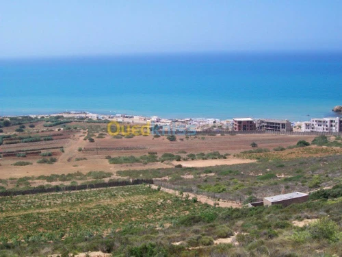 Vente Terrain Mostaganem Abdelmalek ramdane