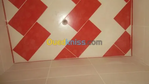 Carleur Faillance et Dalle de Sol.