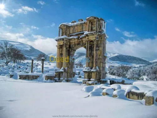 maintenance climatisation et froid