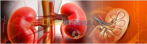 Consultation en Néphrologie 