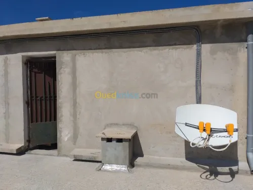 installation parabole collective 