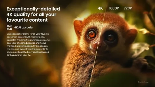 TELEVISEUR HISENSE A6 SERIES 50" 4K ULTRA HD GOOGLE TV 50A6500N / CASH ET FACILITÉ