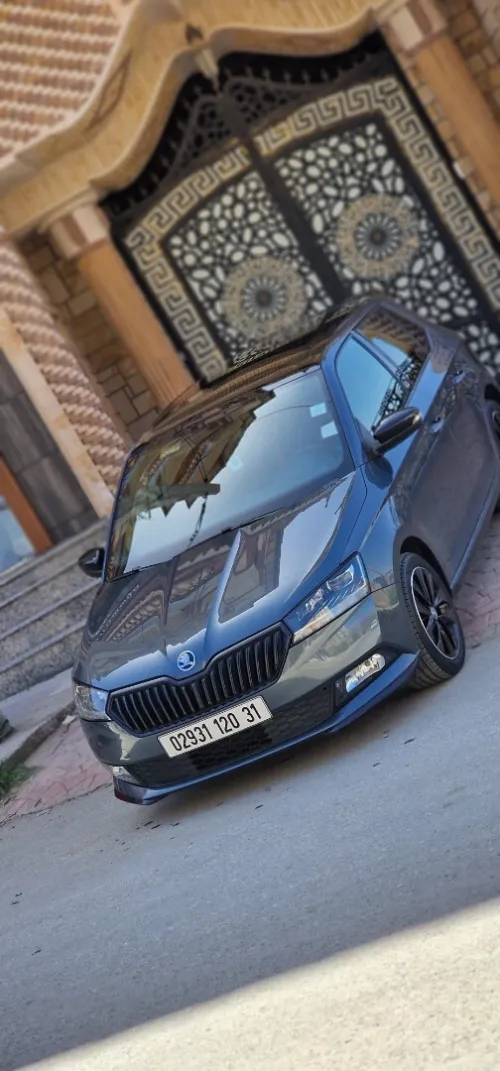 Skoda Fabia 2020 Monte Carlo