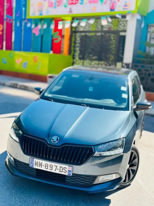Skoda Fabia 2020 Monte Carlo