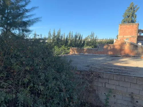 Vente Villa Blida Ben khellil