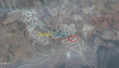 Vente Terrain Tlemcen Tirni beni hediel