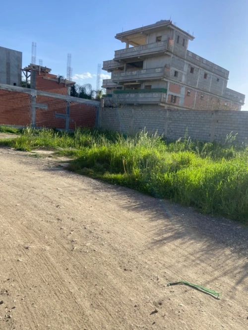 Vente Terrain Alger Ouled chebel