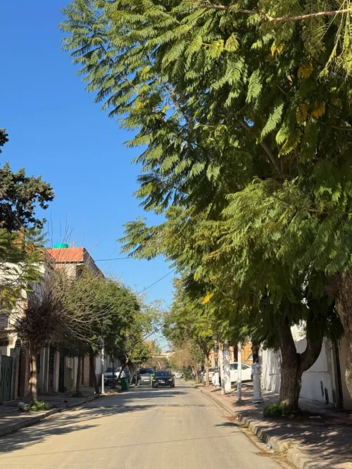 Vente Appartement F3 Alger Oued smar