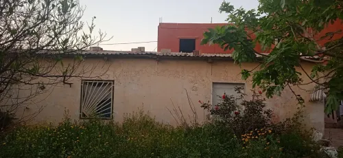 Vente bien immobilier Oran Ain el bia