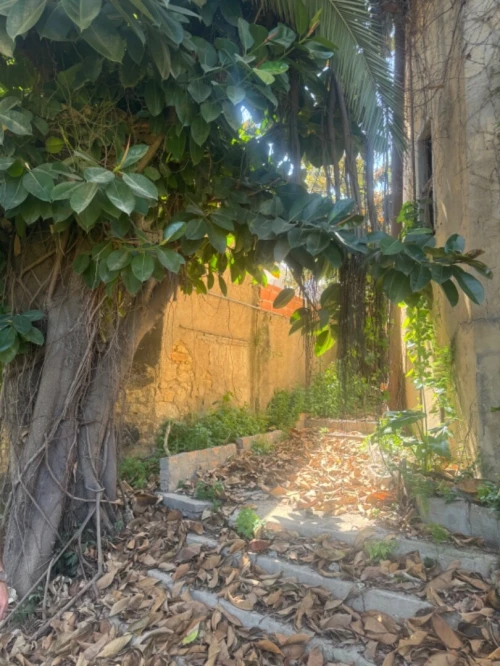 Vente Terrain Alger Alger centre