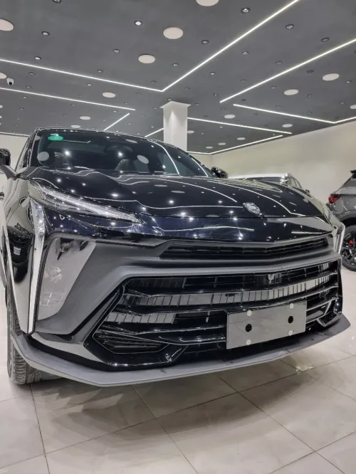 DF Joyear  T5 EVO 2025 FORTHING Luxury