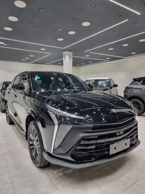 DF Joyear  T5 EVO 2025 FORTHING Luxury