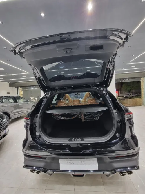 DF Joyear  T5 EVO 2025 FORTHING Luxury