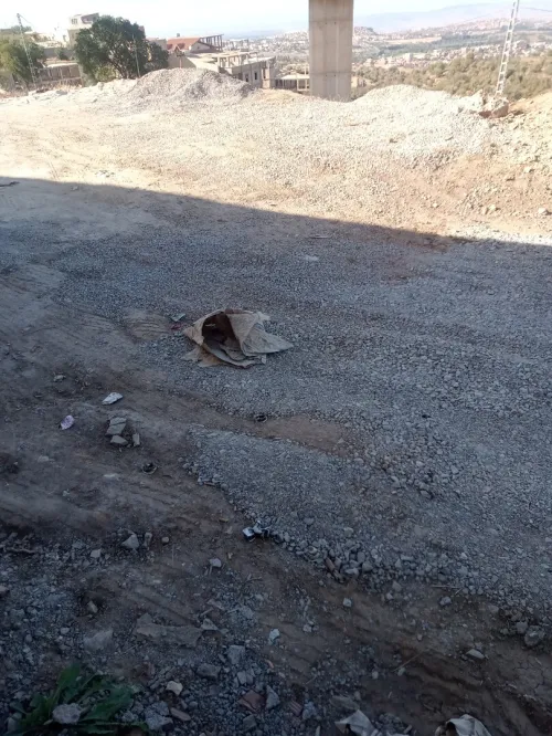 Vente Terrain Tlemcen Tlemcen