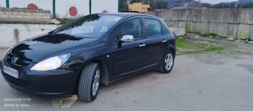 Peugeot 307 2004 XT