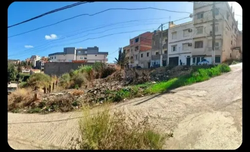 Vente Terrain Alger Beni messous
