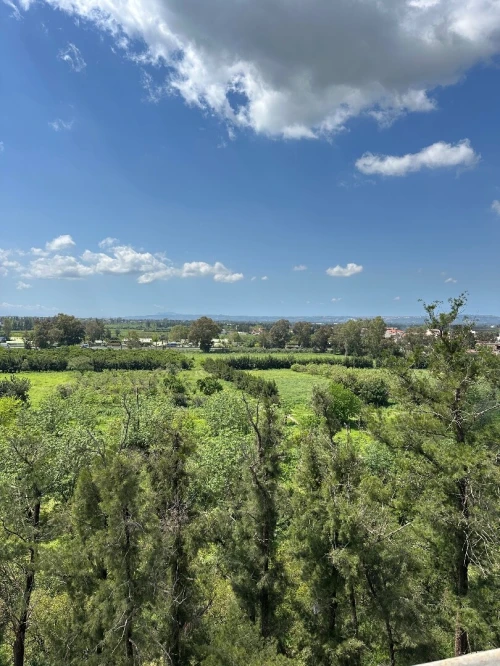 Vente Appartement F3 Blida Boufarik