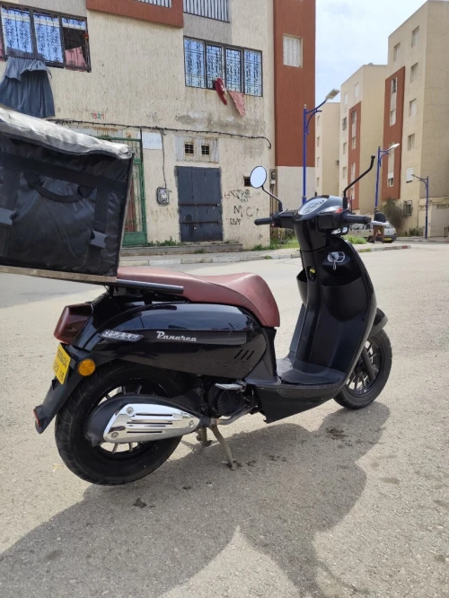 Benelli Panarea 2023