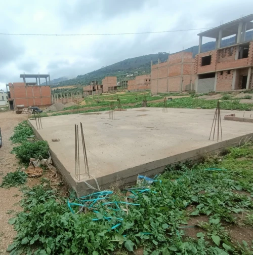 Vente Terrain Tlemcen Tlemcen