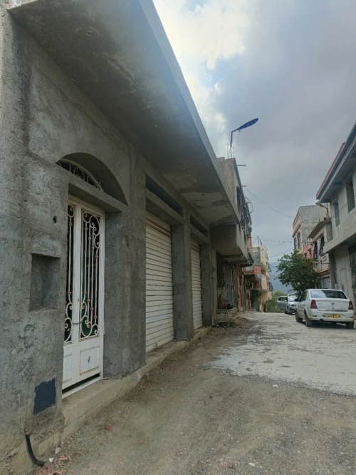 Vente Villa Blida El affroun